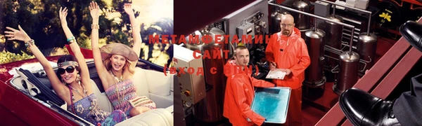 шишки Белоозёрский
